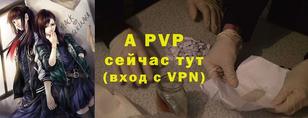 гашик Верея