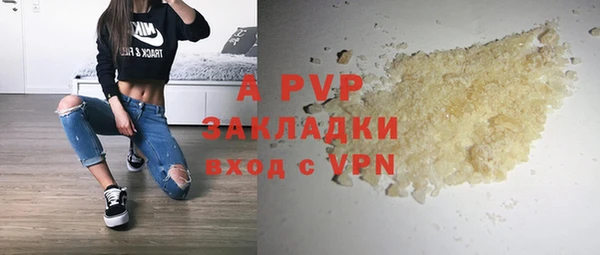 гашик Верея