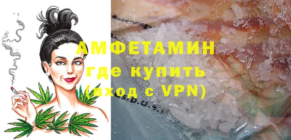 гашик Верея