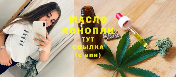гашик Верея
