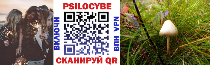 Галлюциногенные грибы MAGIC MUSHROOMS  shop как зайти  Калязин 